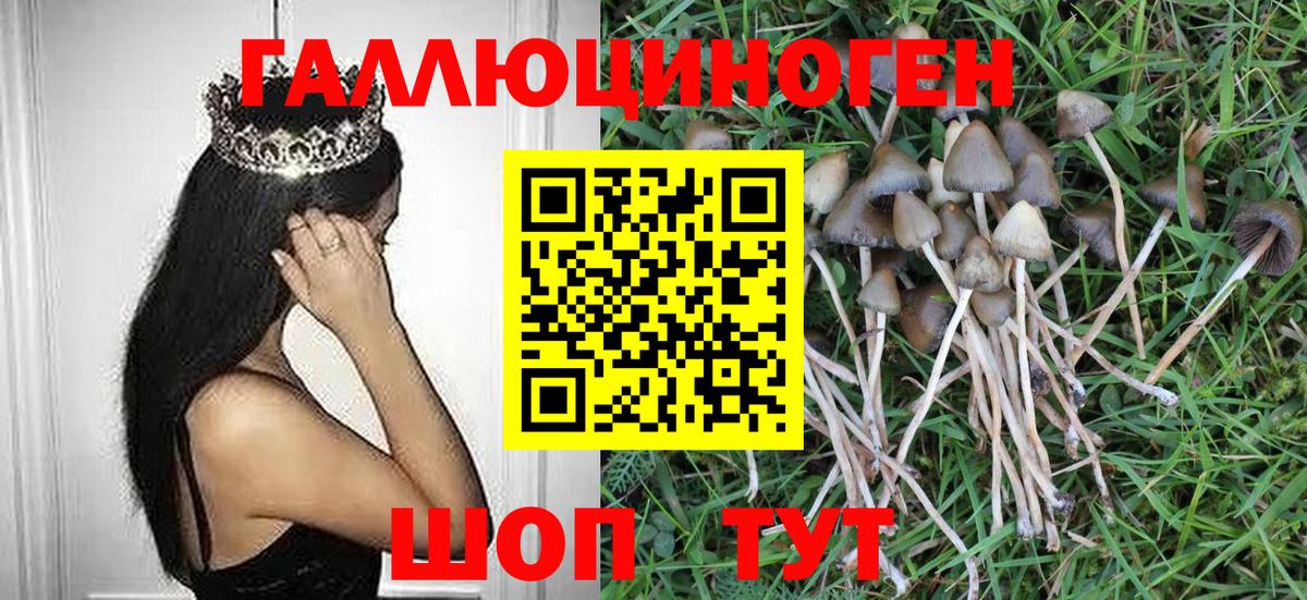 Пенза  Псилоцибиновые грибы GOLDEN TEACHER  Вход с VPN 