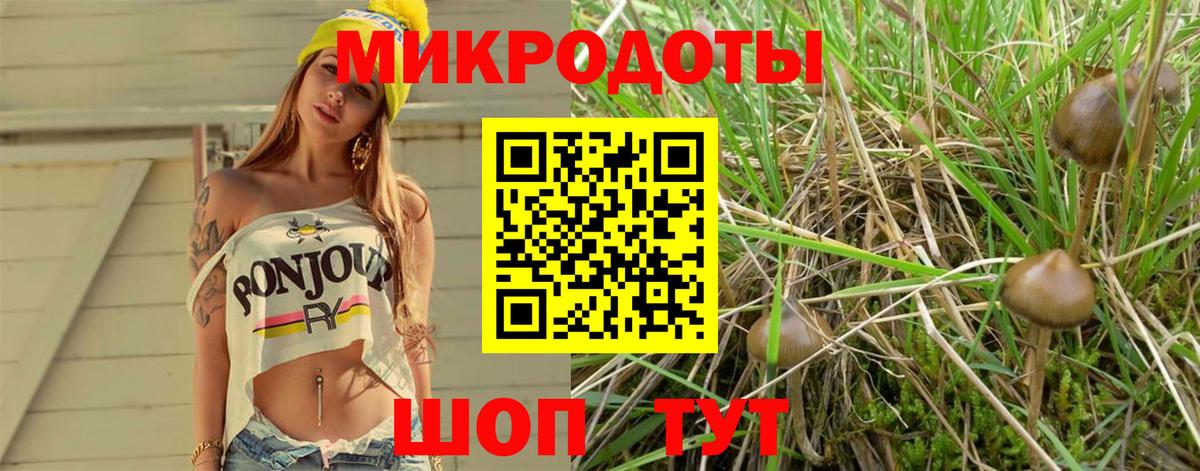 Галлюциногенные грибы ЛСД Пенза